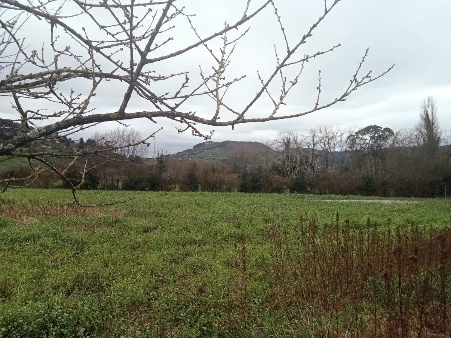 Mark till salu i Gijon - 180 000 € (Ref: 8201645)