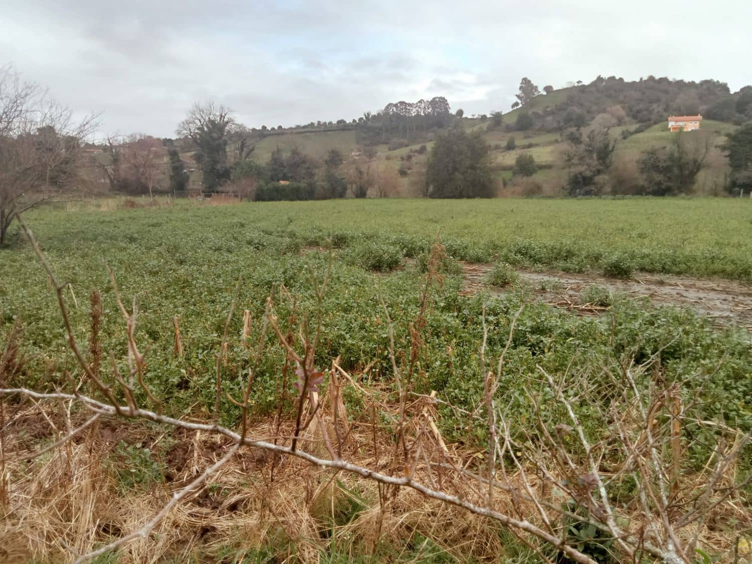 Mark till salu i Gijon - 180 000 € (Ref: 8201645)