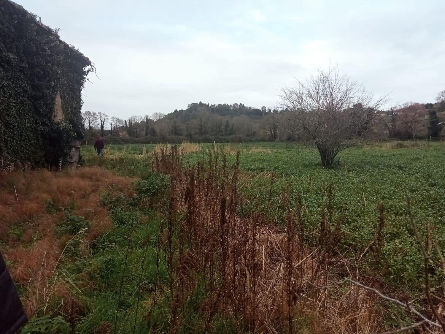 Mark till salu i Gijon - 180 000 € (Ref: 8201645)