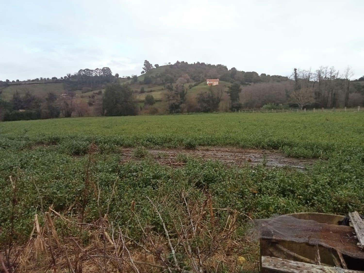 Mark till salu i Gijon - 180 000 € (Ref: 8201645)