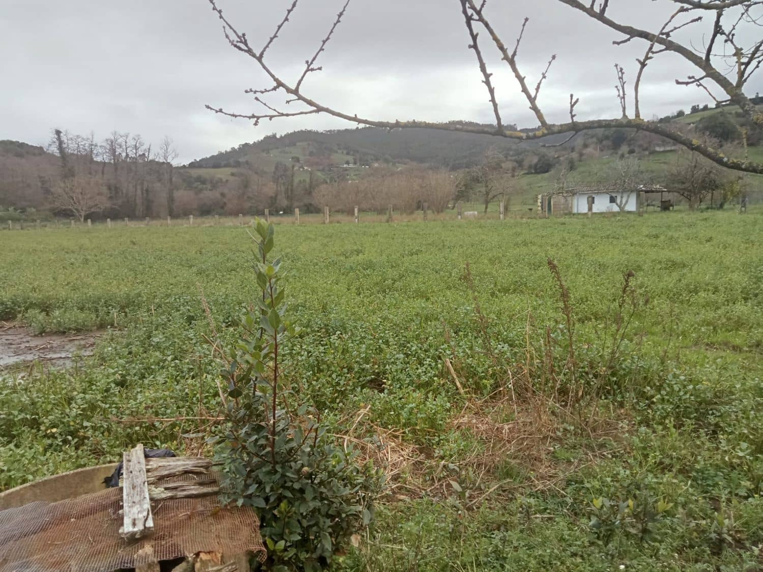 Mark till salu i Gijon - 180 000 € (Ref: 8201645)