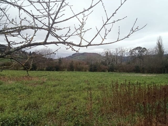 Undeveloped Land for sale in Gijón - € 180,000 (Ref: 8201645)