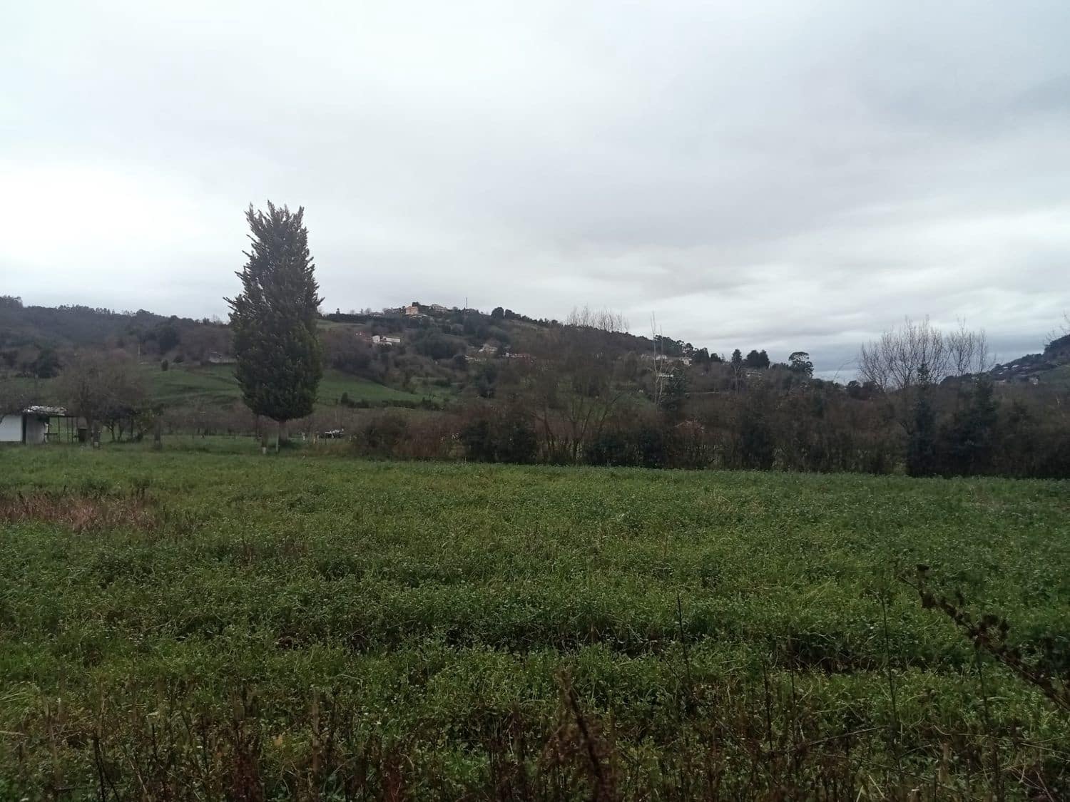 Mark till salu i Gijon - 180 000 € (Ref: 8201645)