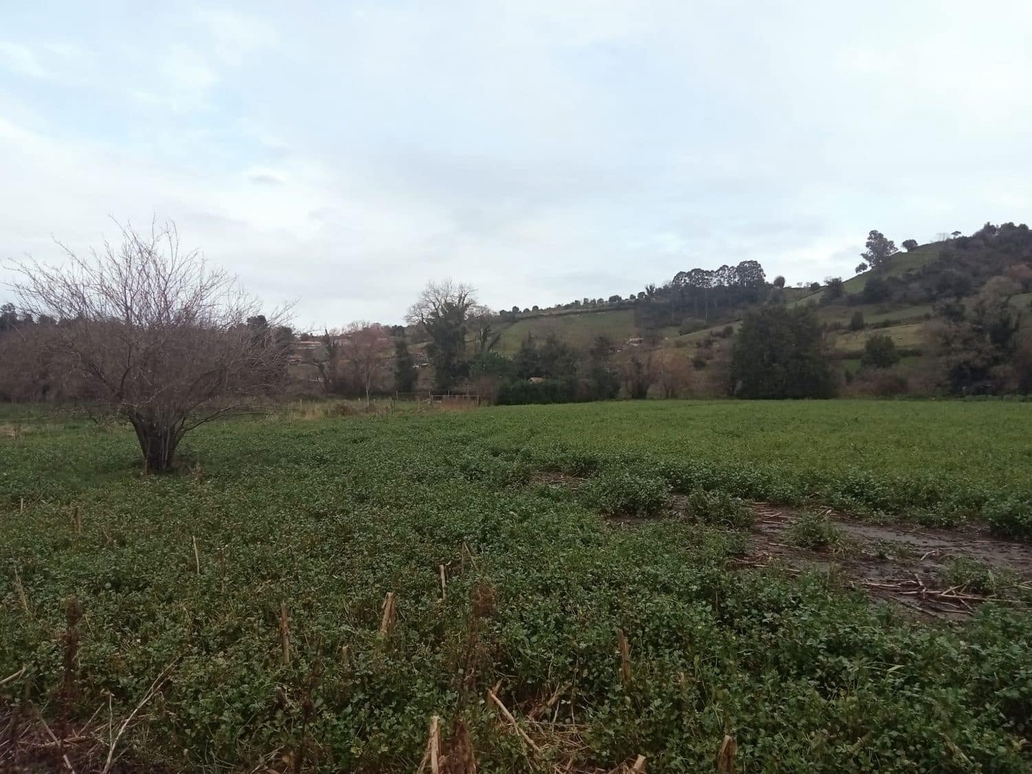 Mark till salu i Gijon - 180 000 € (Ref: 8201645)