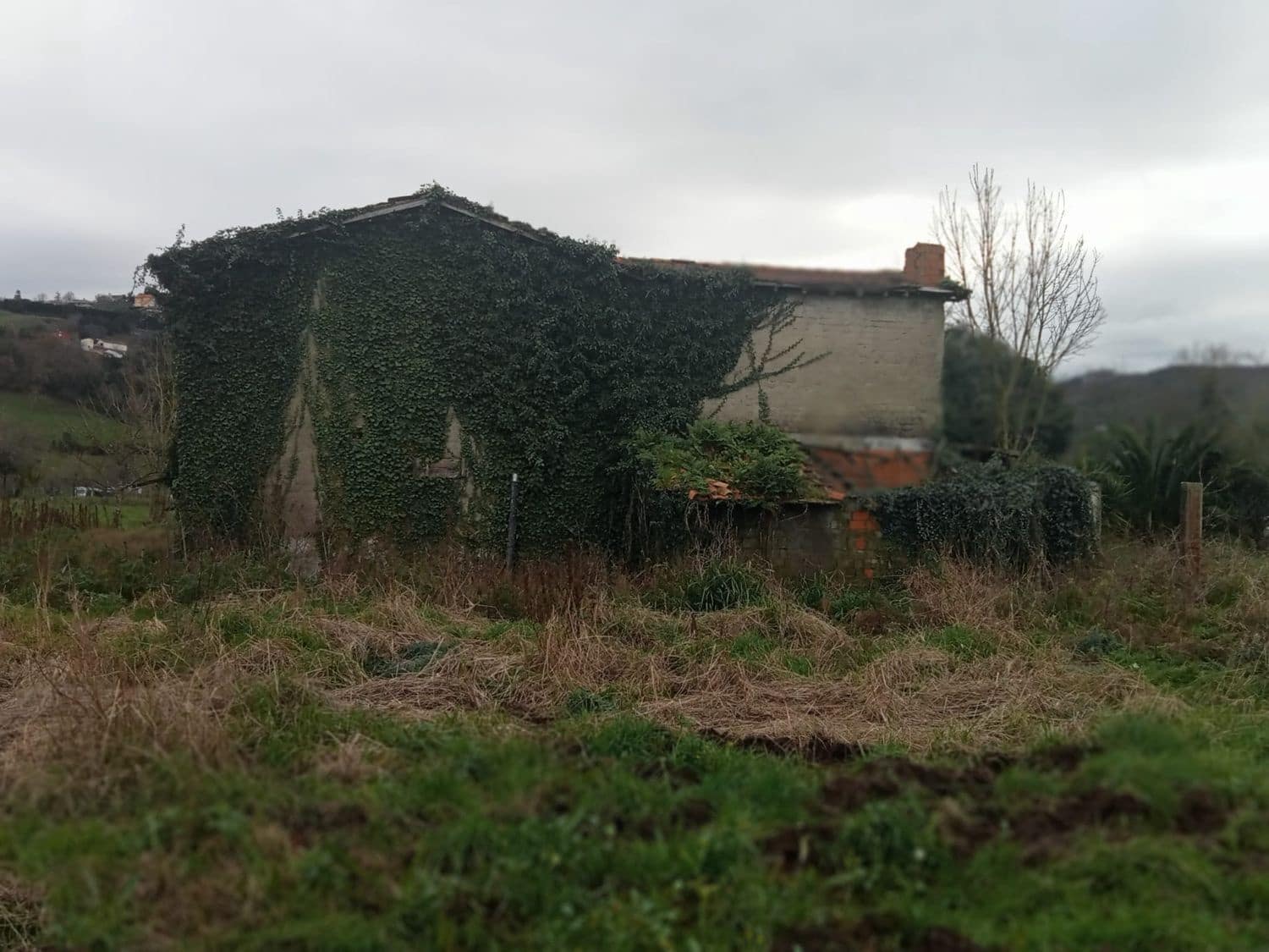 Mark till salu i Gijon - 180 000 € (Ref: 8201645)