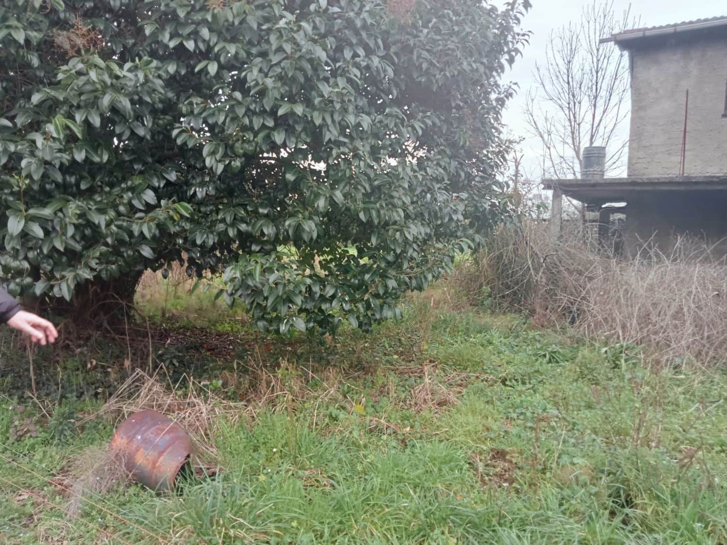 Mark till salu i Gijon - 180 000 € (Ref: 8201645)