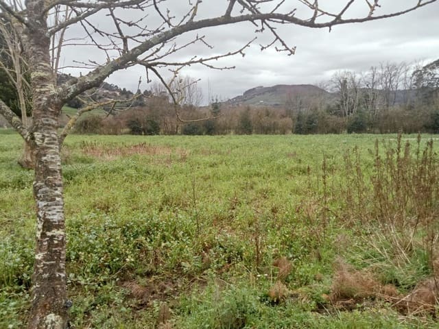 Undeveloped Land for sale in Gijón - € 180,000 (Ref: 8201645)