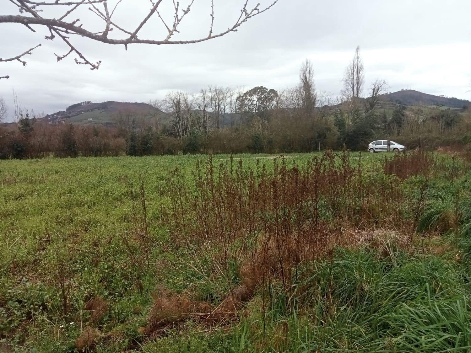 Mark till salu i Gijon - 180 000 € (Ref: 8201645)