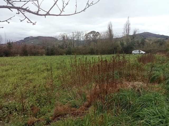Undeveloped Land for sale in Gijón - € 180,000 (Ref: 8201645)