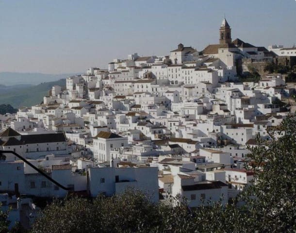 Grunde uden byggetilladelser til salg i Alcalá de los Gazules - € 100.000 (Ref: 8247220)