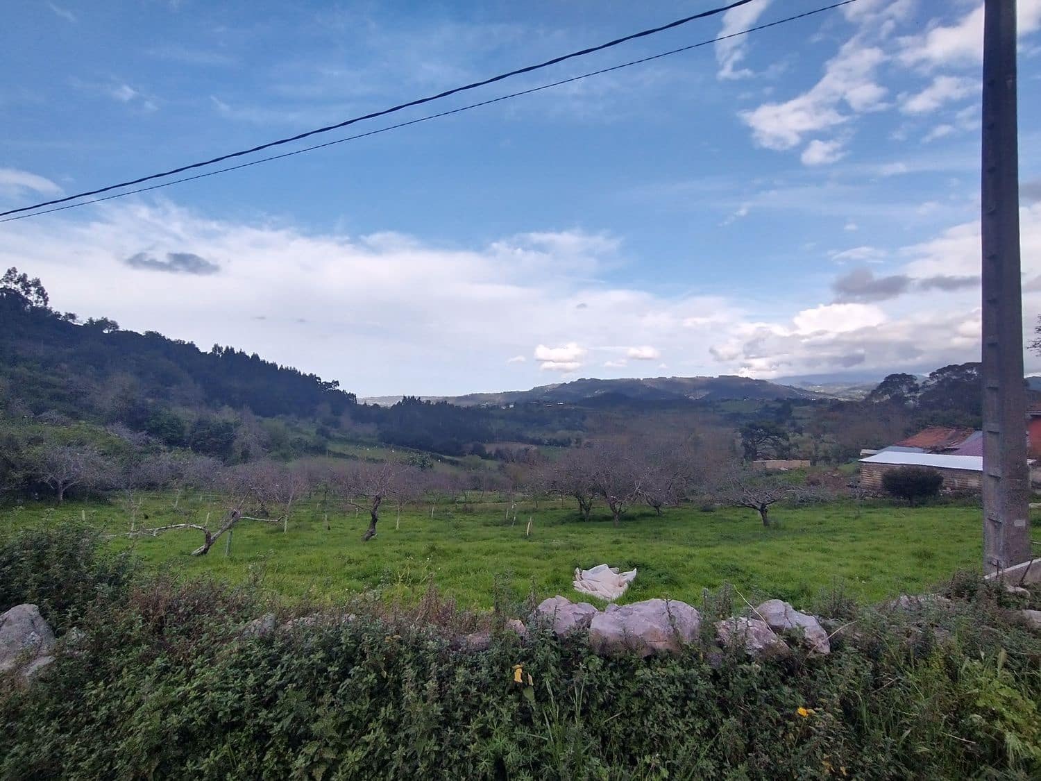 Erhverv til salg i Villaviciosa - € 55.000 (Ref: 8247240)