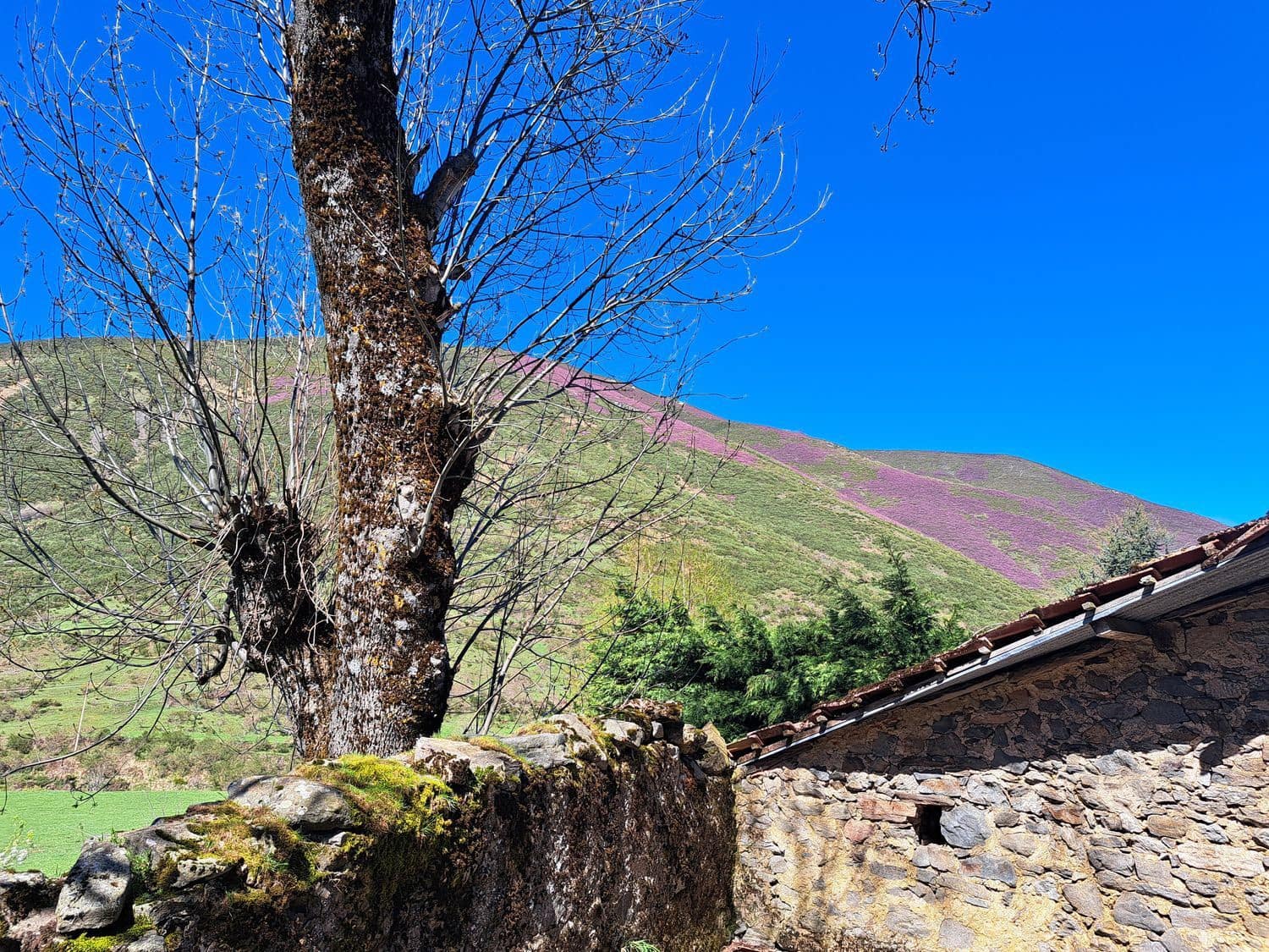 5 bedroom Finca/Country House for sale in Carmenes with garage - € 79,000 (Ref: 8247241)