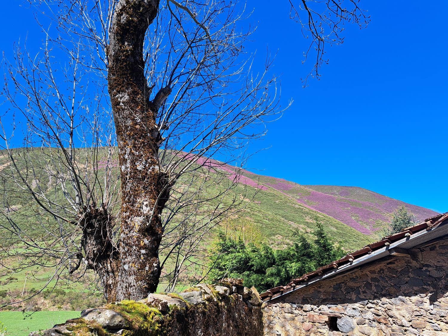 5 bedroom Finca/Country House for sale in Carmenes with garage - € 79,000 (Ref: 8247241)