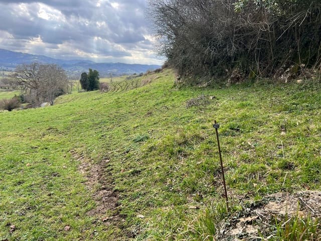 Undeveloped Land for sale in Nava - € 70,000 (Ref: 8267824)