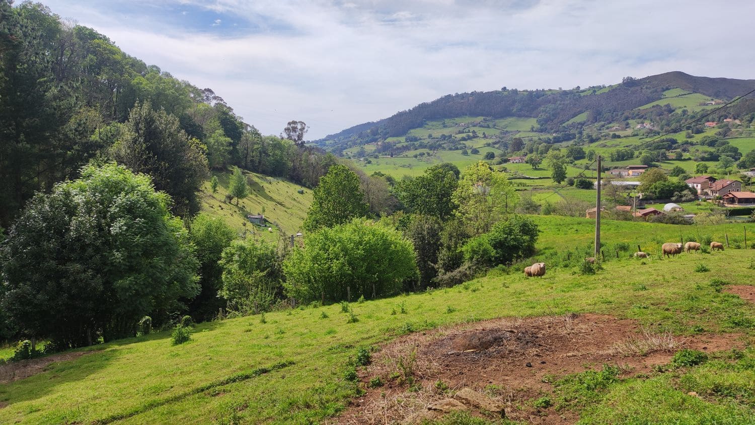 Grunde uden byggetilladelser til salg i Siero - € 30.000 (Ref: 8302523)