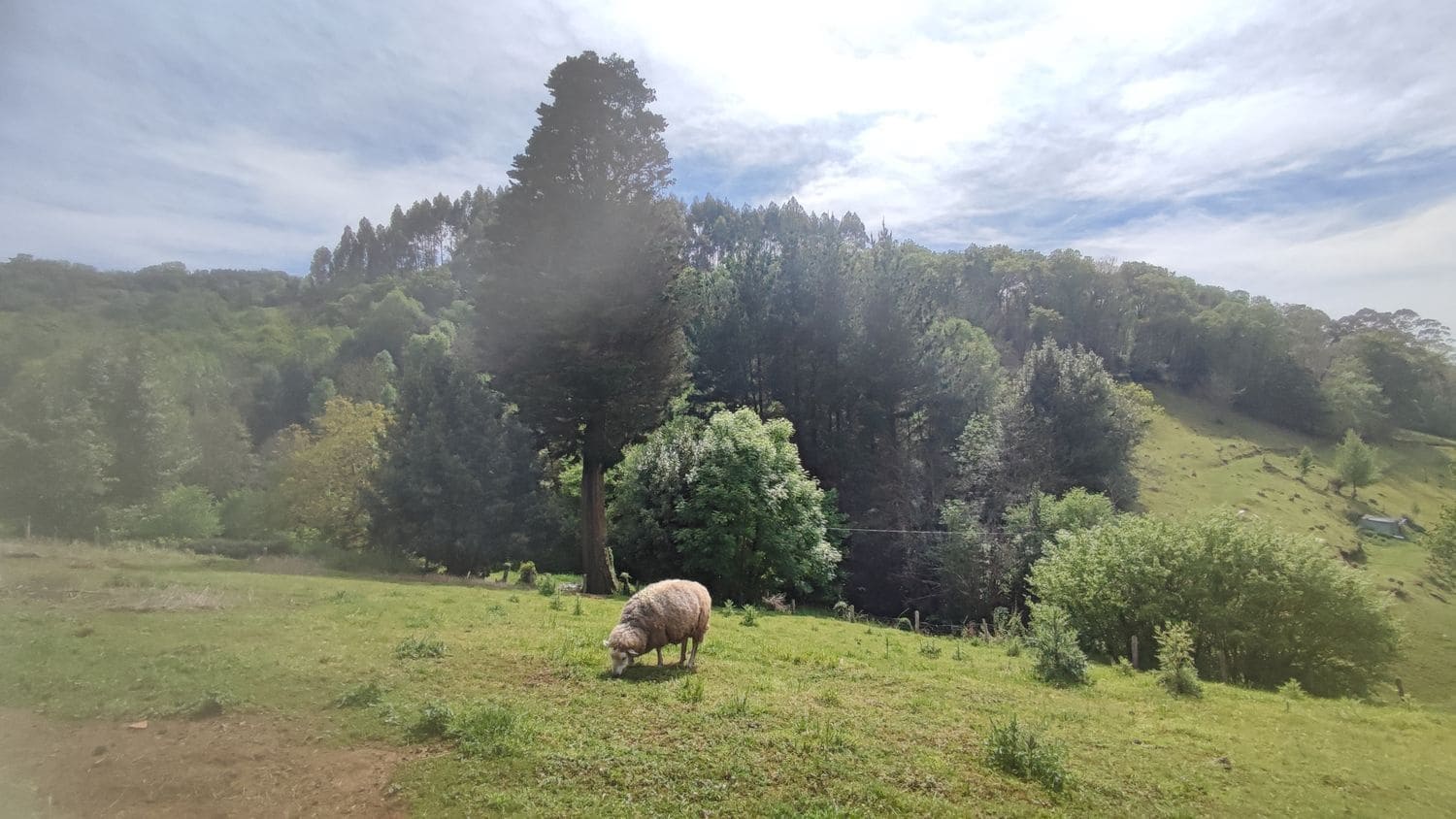 Grunde uden byggetilladelser til salg i Siero - € 30.000 (Ref: 8302523)