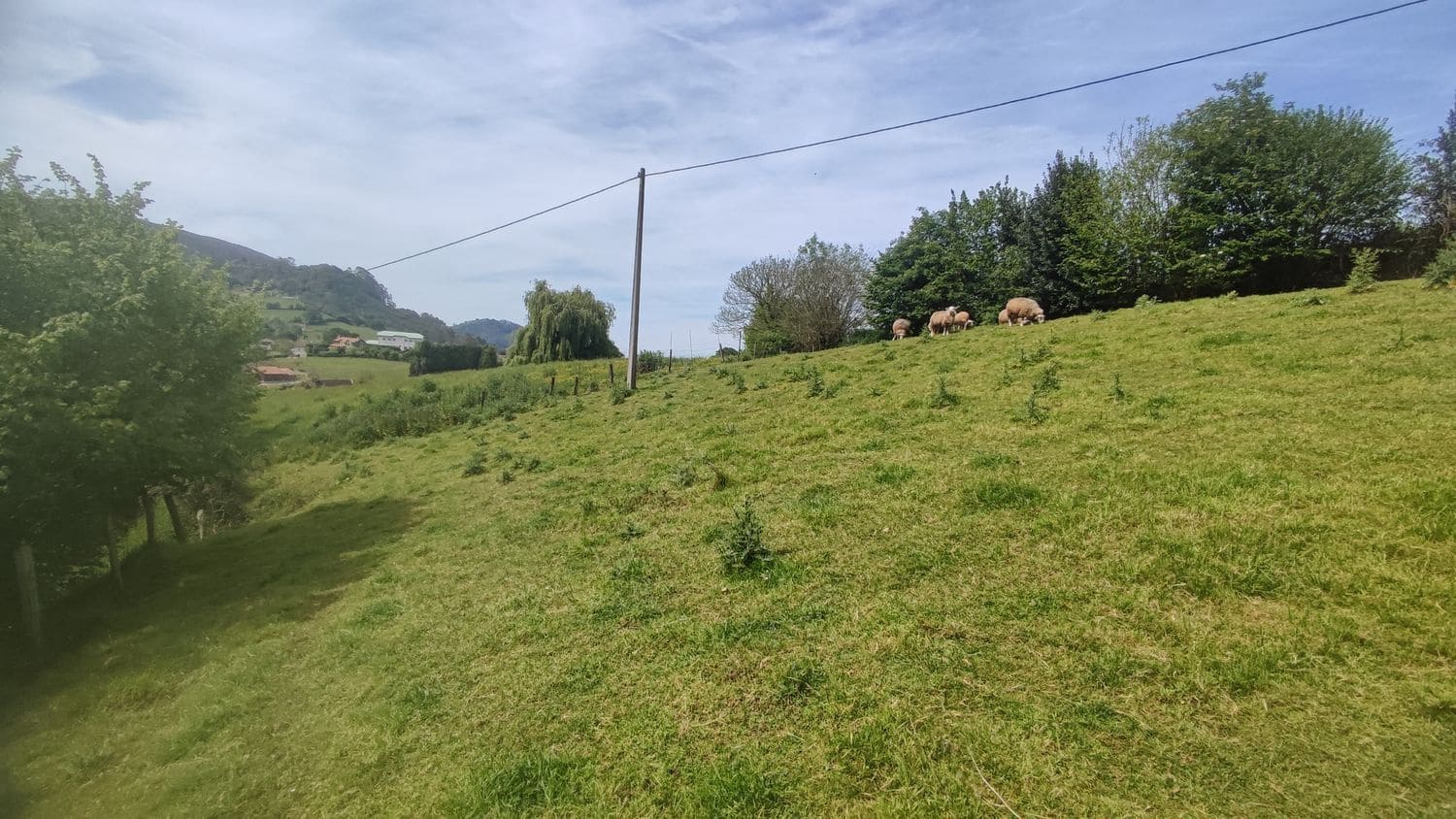 Grunde uden byggetilladelser til salg i Siero - € 30.000 (Ref: 8302523)