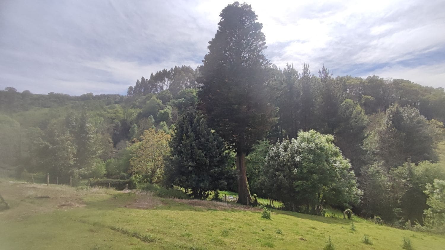 Grunde uden byggetilladelser til salg i Siero - € 30.000 (Ref: 8302523)