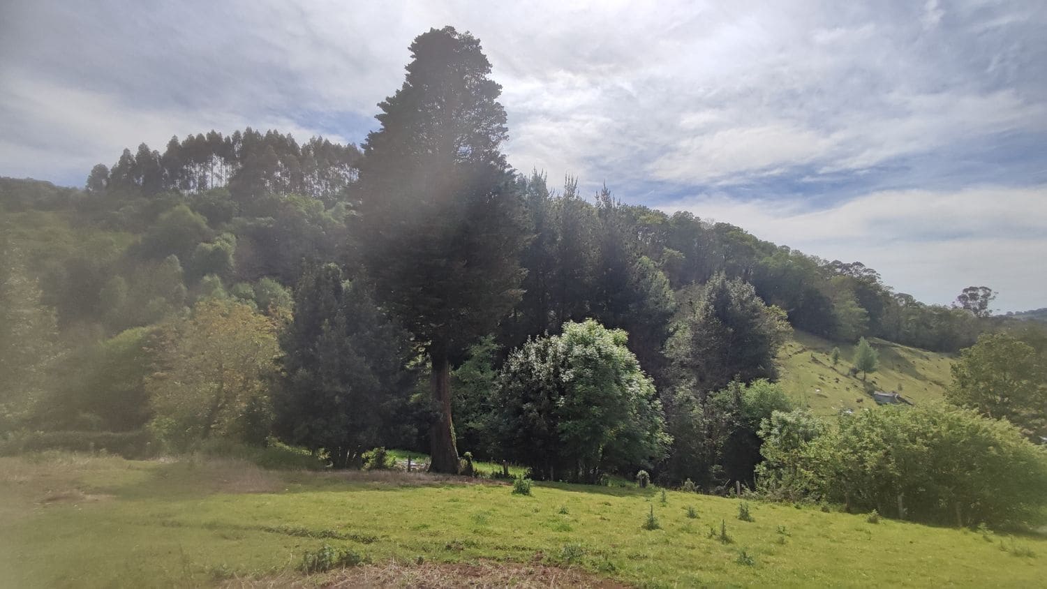 Grunde uden byggetilladelser til salg i Siero - € 30.000 (Ref: 8302523)