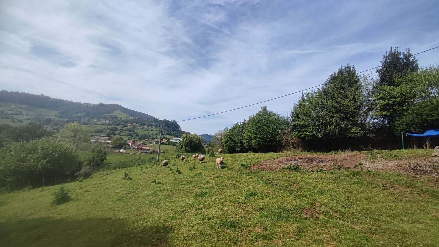 Grunde uden byggetilladelser til salg i Siero - € 30.000 (Ref: 8302523)