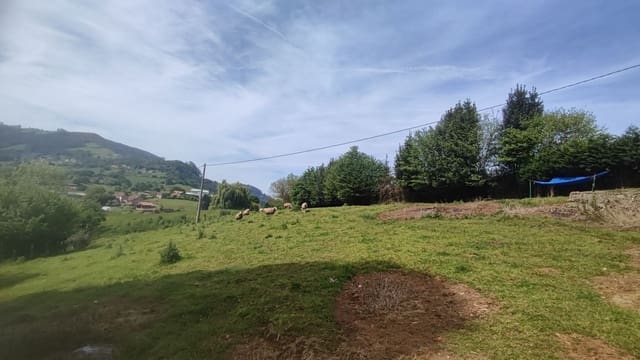 Mark till salu i Siero - 30 000 € (Ref: 8302523)