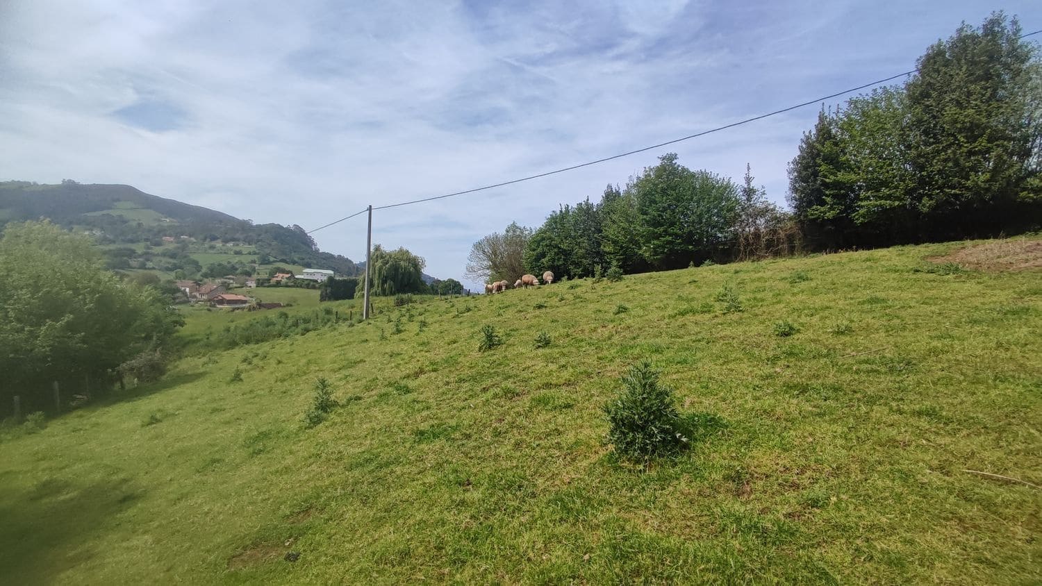 Grunde uden byggetilladelser til salg i Siero - € 30.000 (Ref: 8302523)