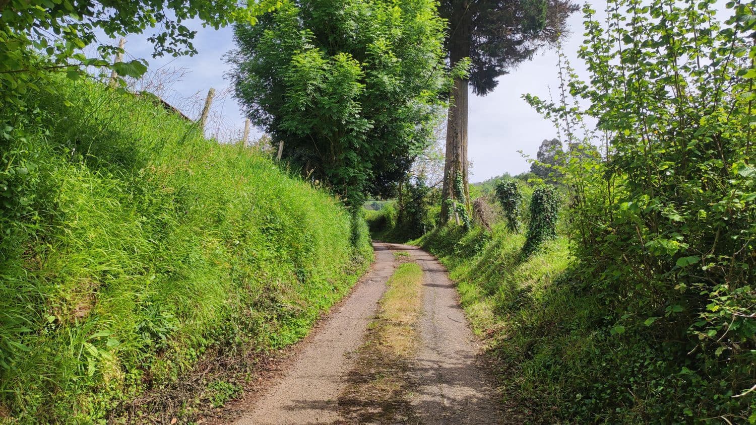 Grunde uden byggetilladelser til salg i Siero - € 30.000 (Ref: 8302523)