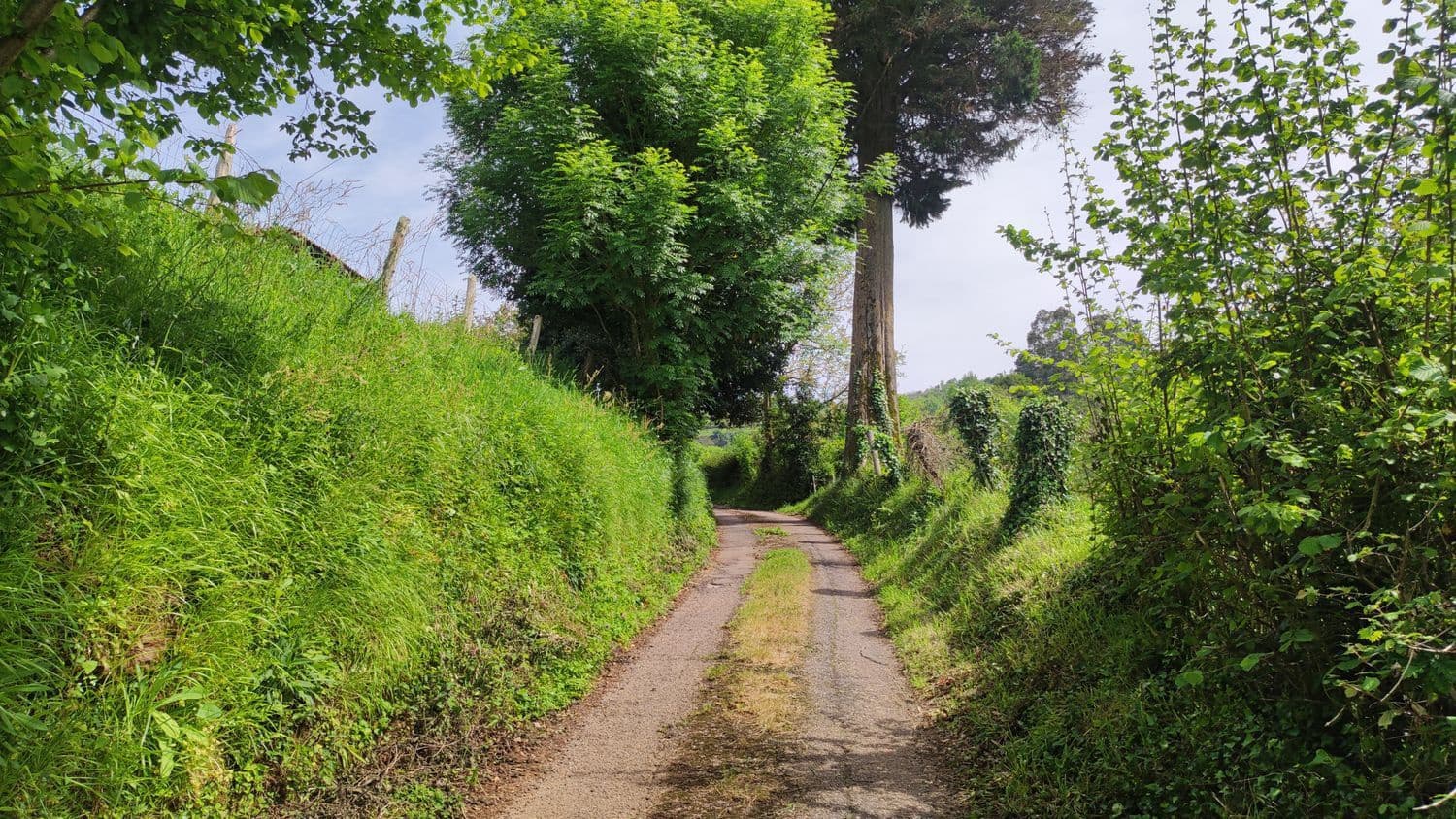 Grunde uden byggetilladelser til salg i Siero - € 30.000 (Ref: 8302523)