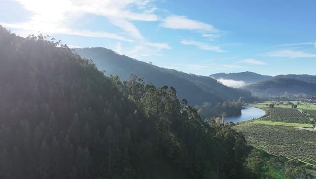 3 sypialnia Finka/Dom wiejski na sprzedaż w Pravia z garażem - 29 900 € (Ref: 8655123)