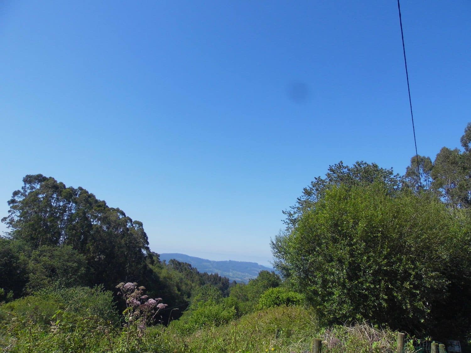 Grunde uden byggetilladelser til salg i Villaviciosa - € 35.500 (Ref: 8655129)