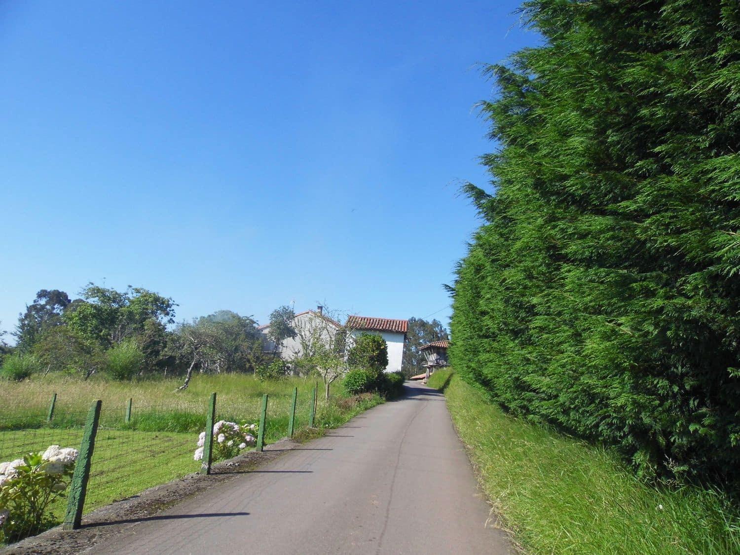 Grunde uden byggetilladelser til salg i Villaviciosa - € 35.500 (Ref: 8655129)