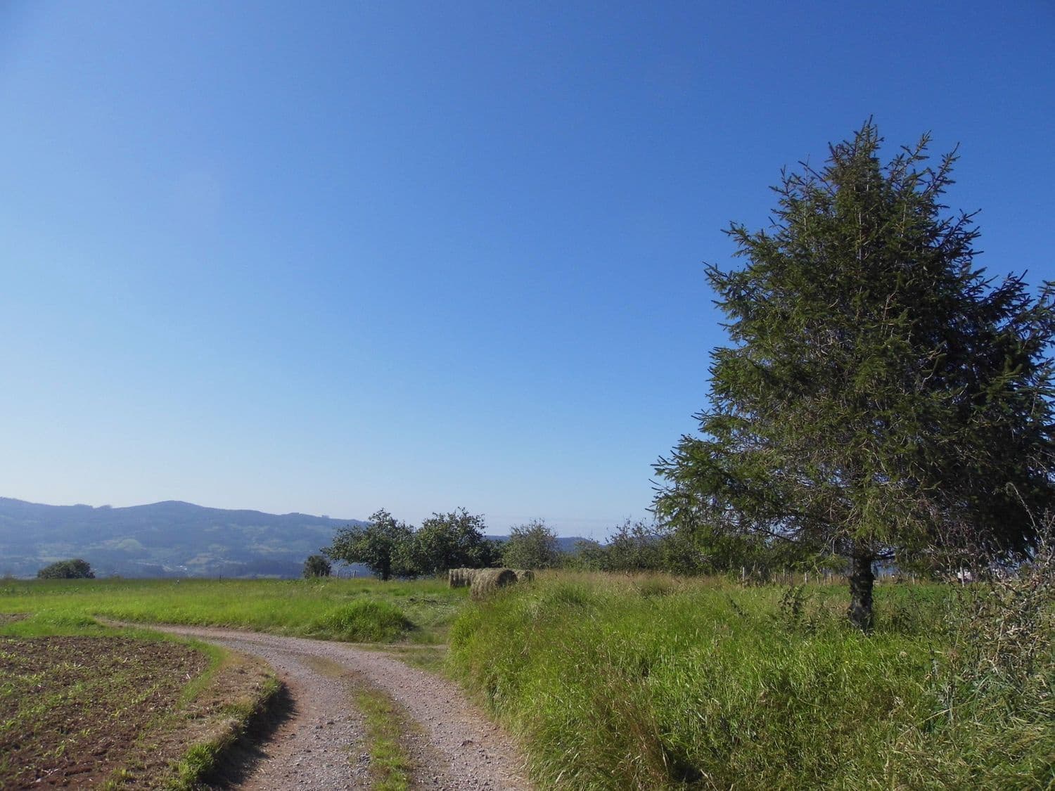 Grunde uden byggetilladelser til salg i Villaviciosa - € 35.500 (Ref: 8655129)