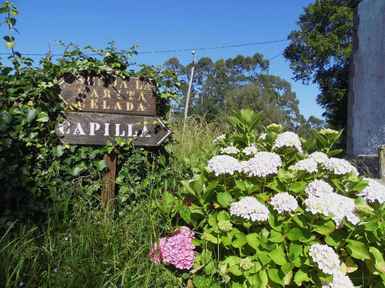 Grunde uden byggetilladelser til salg i Villaviciosa - € 35.500 (Ref: 8655129)