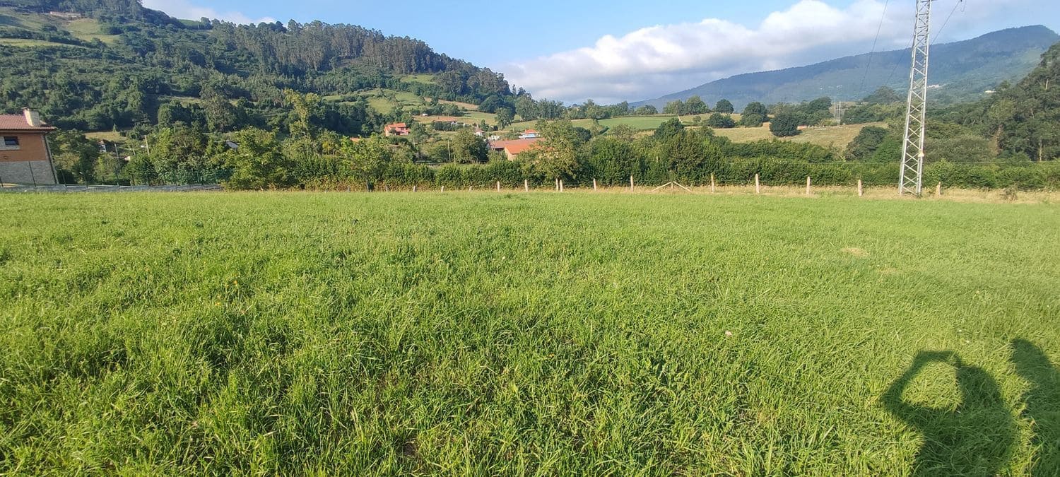 Mark till salu i Siero - 58 000 € (Ref: 8655211)