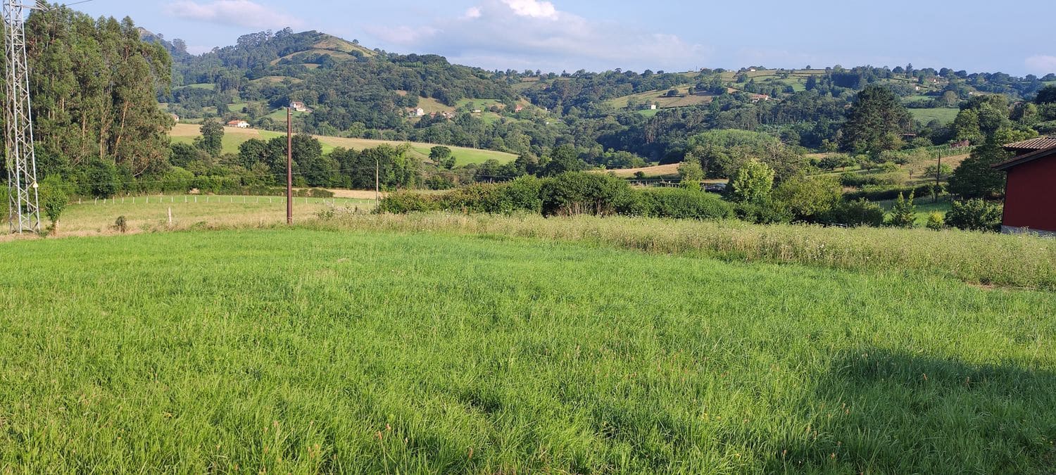 Mark till salu i Siero - 58 000 € (Ref: 8655211)