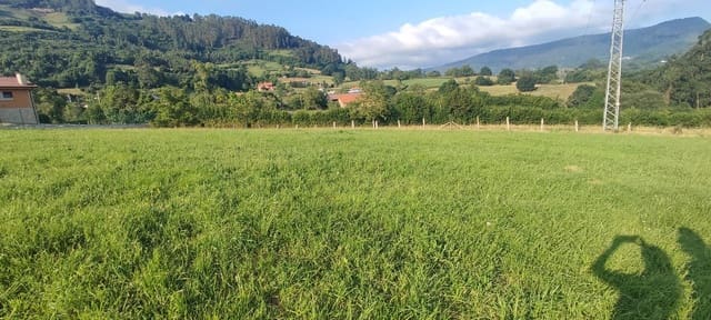 Mark till salu i Siero - 58 000 € (Ref: 8655211)