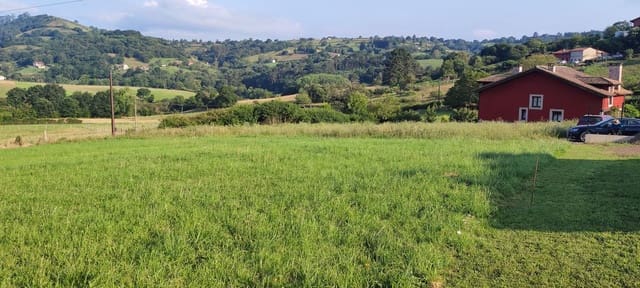 Mark till salu i Siero - 58 000 € (Ref: 8655211)