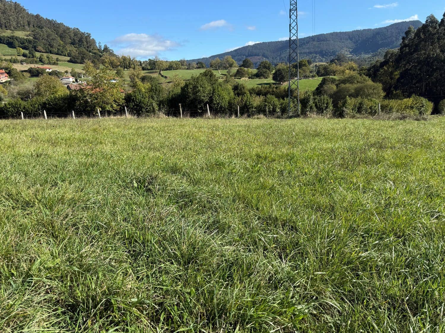 Mark till salu i Siero - 58 000 € (Ref: 8655211)