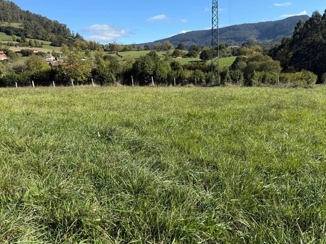 Mark till salu i Siero - 58 000 € (Ref: 8655211)