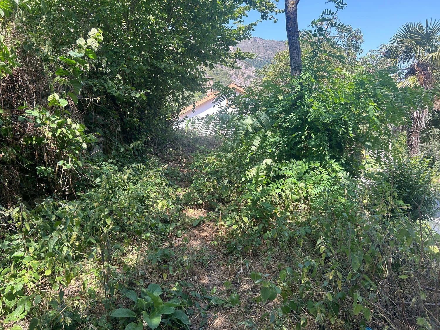 Grond te koop in Somiedo - € 70.000 (Ref: 8655218)