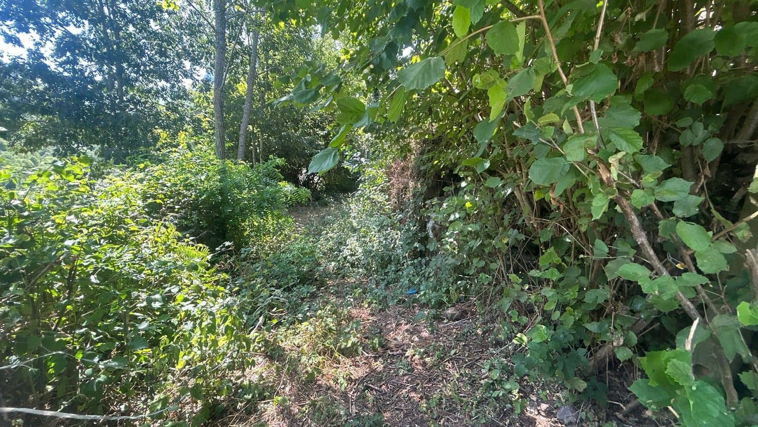 Grond te koop in Somiedo - € 70.000 (Ref: 8655218)