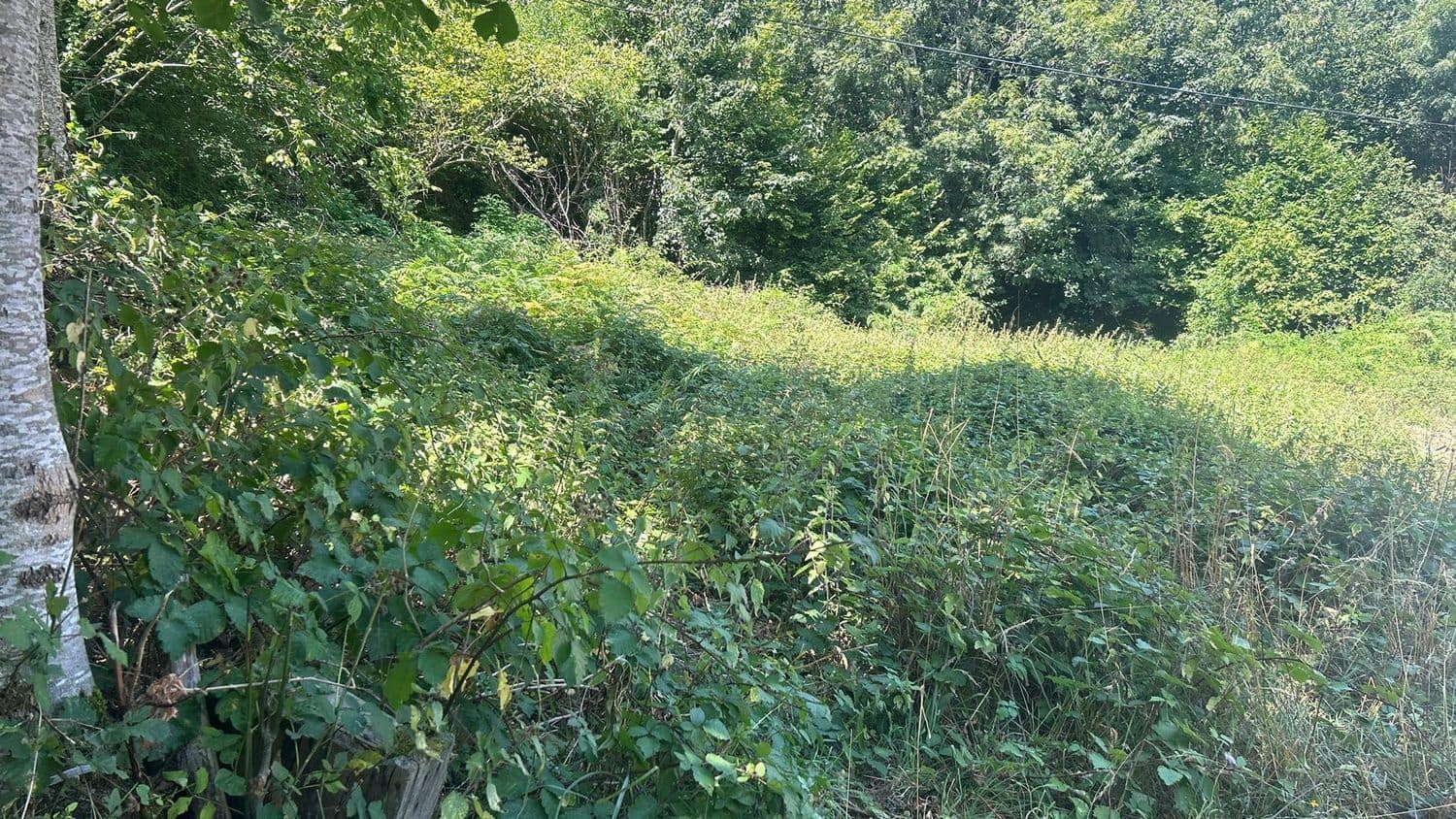 Grond te koop in Somiedo - € 70.000 (Ref: 8655218)