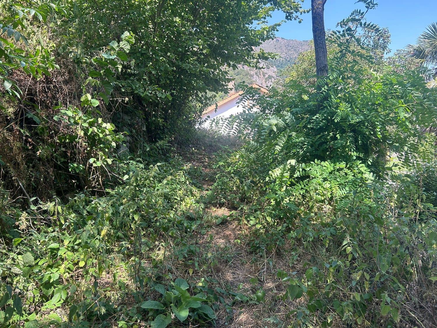 Grond te koop in Somiedo - € 70.000 (Ref: 8655218)