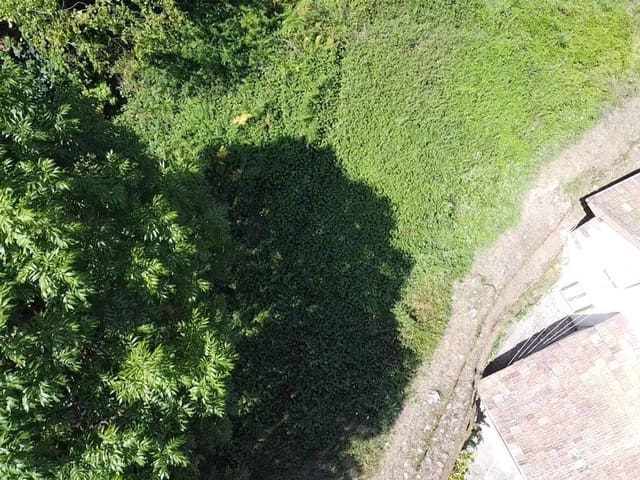 Undeveloped Land for sale in Pola de Somiedo, Somiedo - € 70,000 (Ref: 8655218)