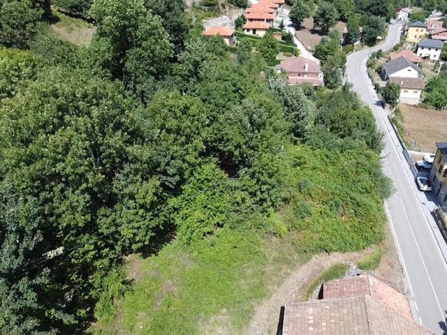 Undeveloped Land for sale in Pola de Somiedo, Somiedo - € 70,000 (Ref: 8655218)