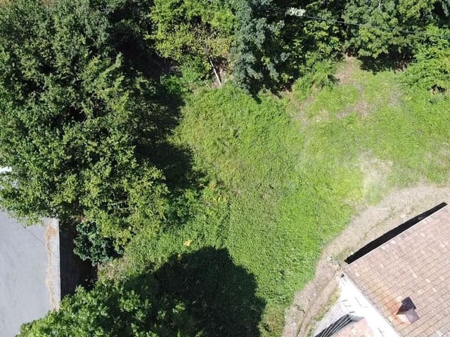 Undeveloped Land for sale in Pola de Somiedo, Somiedo - € 70,000 (Ref: 8655218)