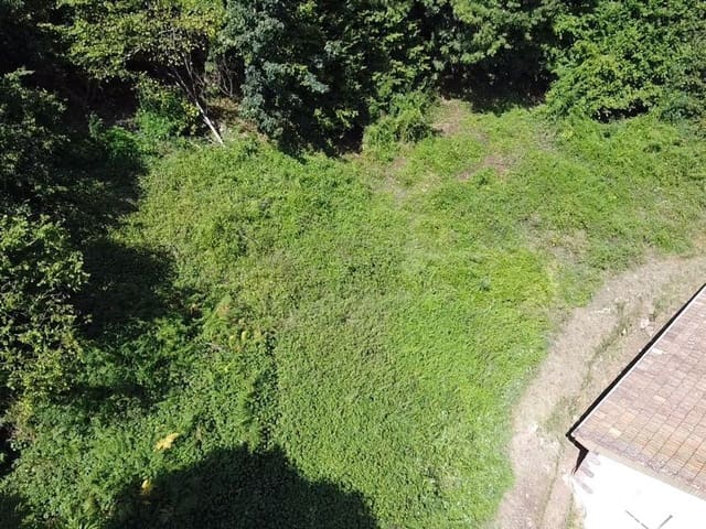 Undeveloped Land for sale in Pola de Somiedo, Somiedo - € 70,000 (Ref: 8655218)