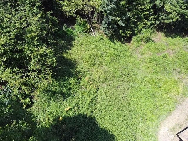 Undeveloped Land for sale in Pola de Somiedo, Somiedo - € 70,000 (Ref: 8655218)