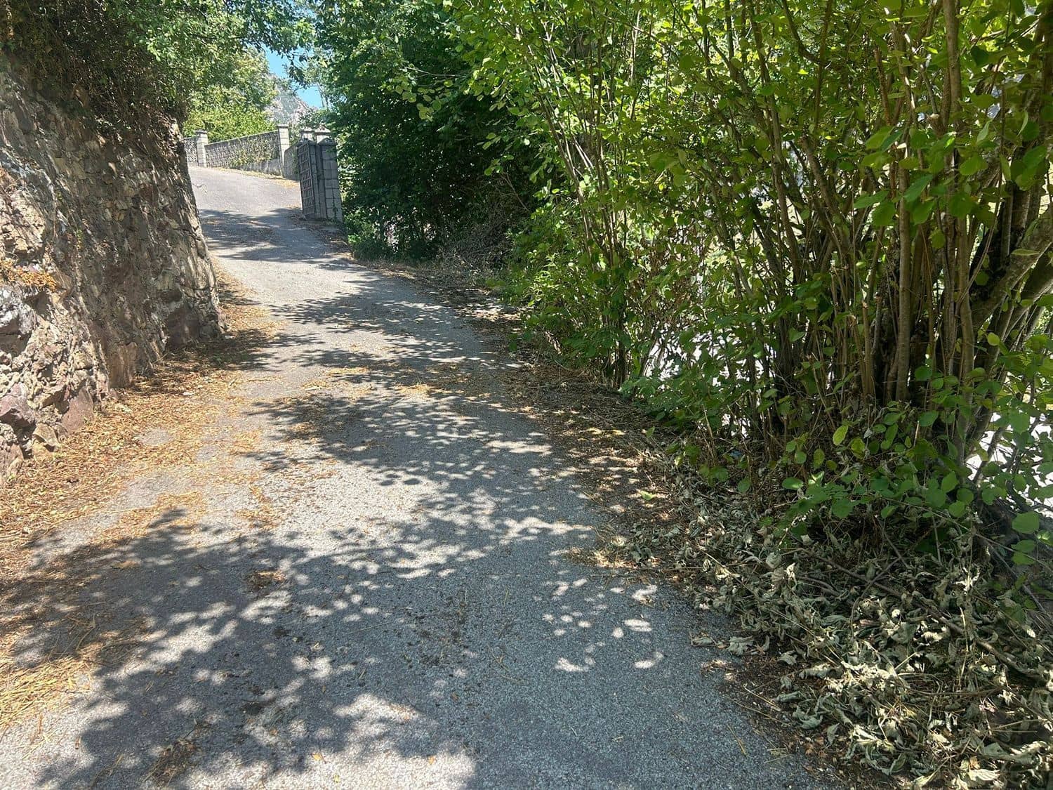 Grond te koop in Somiedo - € 70.000 (Ref: 8655218)