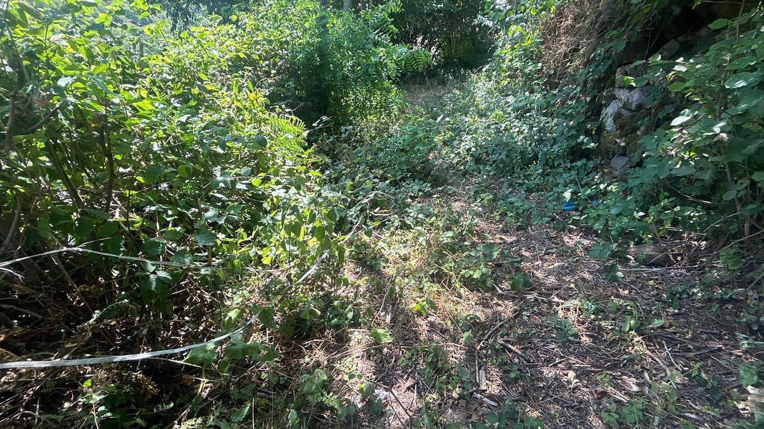 Grond te koop in Somiedo - € 70.000 (Ref: 8655218)